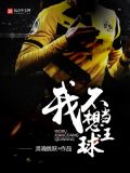 我不想当球王什么意思
