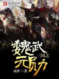 三国之魏武元勋TXT下载