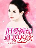 旧爱缠绵:追妻99次