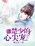 独占爱妻:楚少的心尖宠