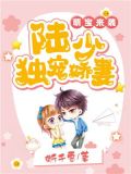 萌宝来袭:陆少独宠娇妻