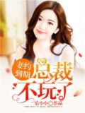 妻约到期：总裁，不玩了