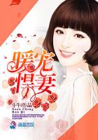 暖宠悍妻