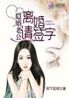 隐婚老公离婚请签字免费阅读全书