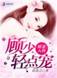 娇妻太生猛,顾少,娶一送二