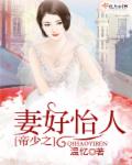 帝少宠妻很上道全文免费阅读