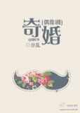 奇婚（偶像剧）