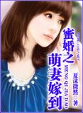 蜜婚宠爱小说