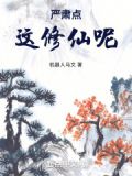 严肃点穿越呢 小说