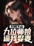 开局下山：九位师娘逼我娶妻