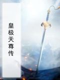 皇极天尊传