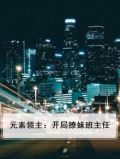 元素主宰小说