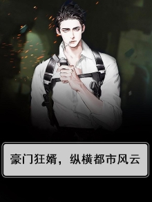 豪门狂婿，纵横都市风云