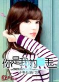 你是我的毛毛歌曲