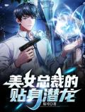 美女总裁的贴身潜龙