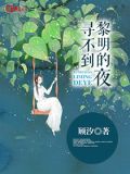 歌词寻不到的梦是什么歌