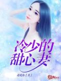 冷少的专属甜心