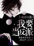 魂穿白莲:我要当反派的小说