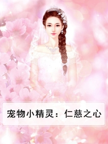 宠物小精灵：仁慈之心
