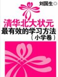 至尊少年王TXT下载精校