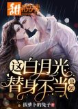 这白月光替身不当也罢