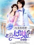 闪来的萌婚:面具老公太傲娇小说