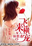 飞来横财 小说