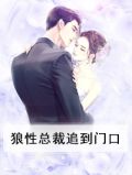 狼性总裁勾上门全文免费