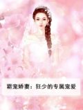 霸少宠妻超给力