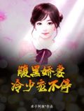 腹黑娇妻，冷少宠不停