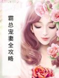 霸总宠妻全攻略