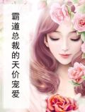 霸道总裁霸道总裁的天价穷妻