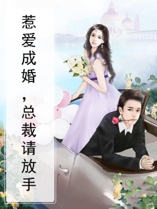 惹爱成婚，总裁请放手