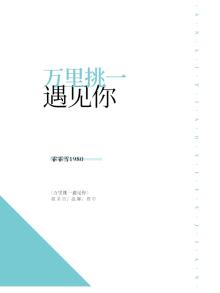 万里挑一遇见你