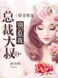 大叔总裁娇宠傲娇