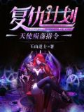 复仇计划:天使殒落指令下载