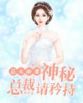 神秘总裁娇妻入怀