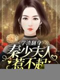 一生一世小说秦婉