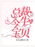 总裁的今生宝贝