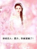 律政恋人:墨少,你被逮捕了!
