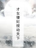 才女傻妃搅动天下
