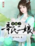 穿越之辛氏二娘