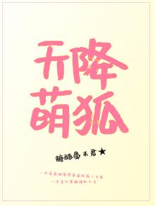 天降萌狐