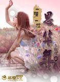 一弦一柱思华年