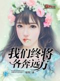我们终将各自远扬经典语录