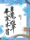 举案齐眉,终是意难平(快穿)