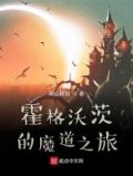 霍格沃茨的魔道之旅全文阅读
