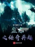 盘龙之新的传奇