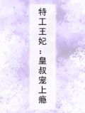 特工王妃：皇叔宠上瘾