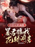 招惹反派,疯批暴君掳我花轿洞房类似文